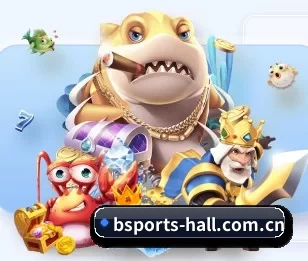bsports-hall.com.cn的故事 - 体育资讯内容服务
